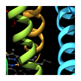 hemoglobin ribbon 2