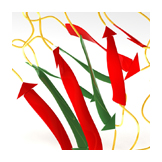 lamin A ribbon