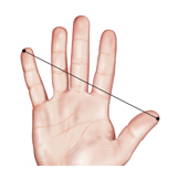 hand span palm