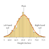 bell curve