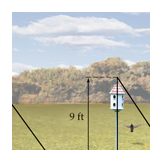 birdhouse situation
