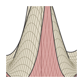 marv surface