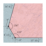 polygon layout