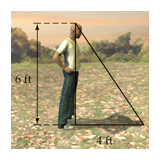 Similar triangles with tree, person, and shadow situational word problem, Mathematics textbook illustration art.