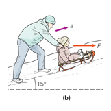 sled push force