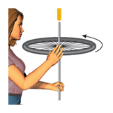 spin wheel